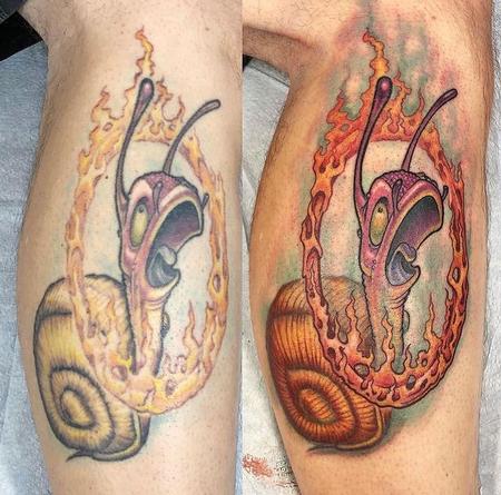 Nature Animal Wildlife - Fire Snail Touchup
